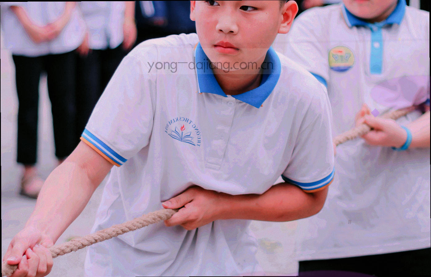 暗光书桌上的多窗口数据面板特写，折线与表格呈荧光青色